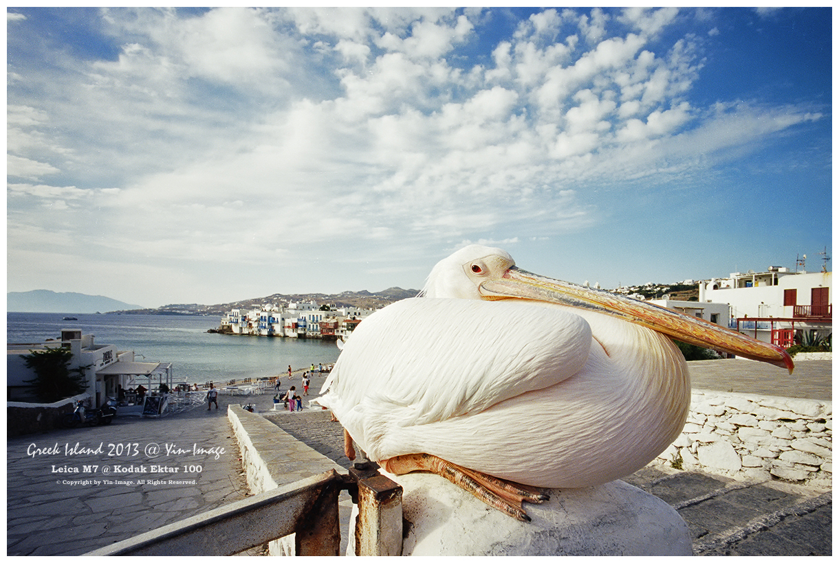 Ektar 100 Greece 49